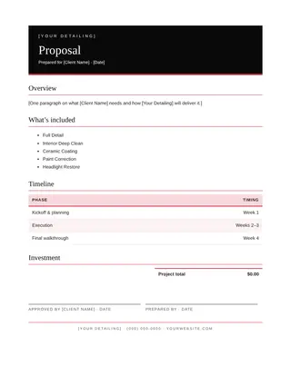 Auto Detailing document template — Auto Detailing Proposal